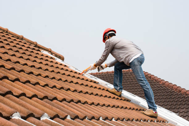 Best Solar Panel Roofing Installation  in Magnolia, OH